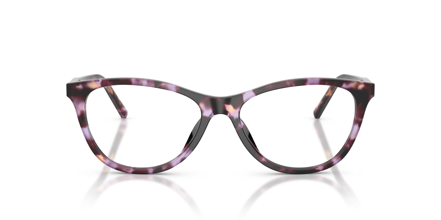 Dolce & Gabbana DG3443 3477 53