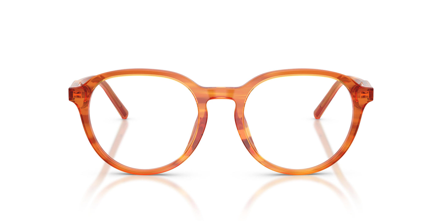 Dolce & Gabbana DG3444 3483 50
