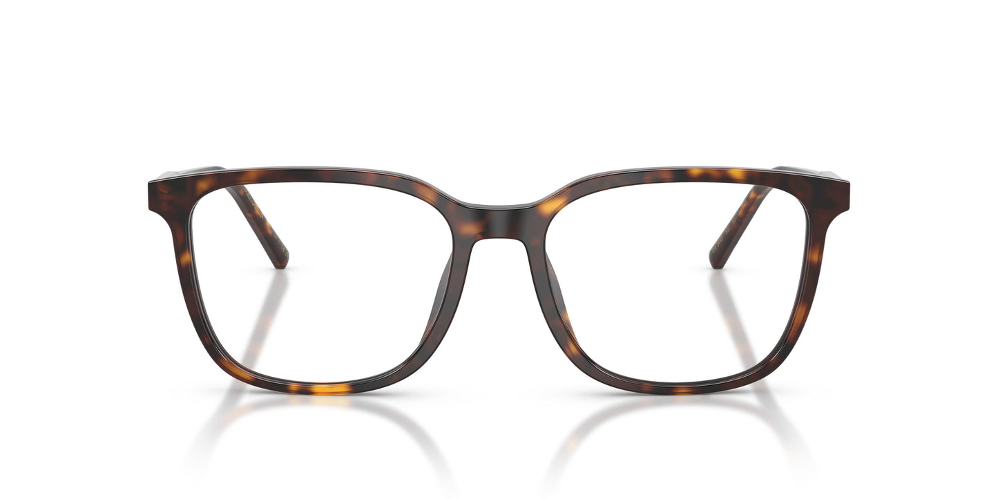 Dolce & Gabbana DG3445 502 55