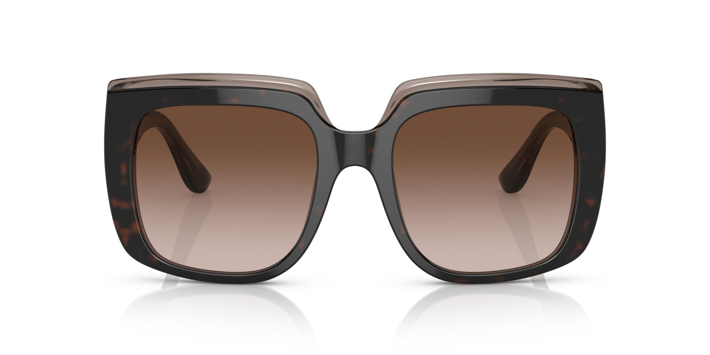 Dolce & Gabbana DG4414 502/13 54