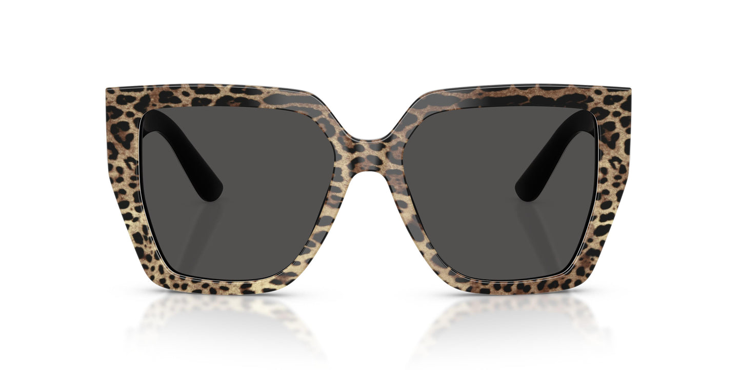 Dolce & Gabbana DG4438 316387 55