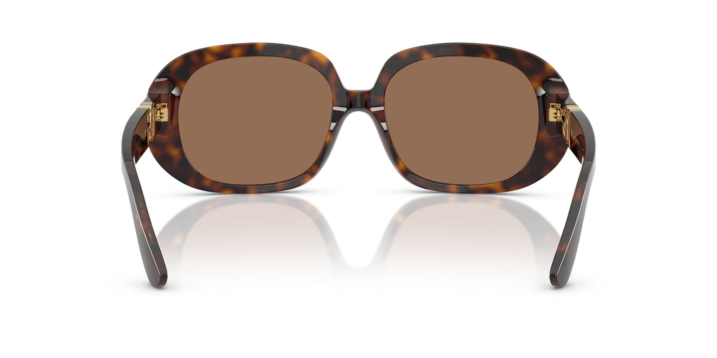 Dolce & Gabbana DG4476 502/73 56