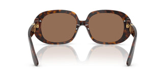 Dolce & Gabbana DG4476 502/73 56