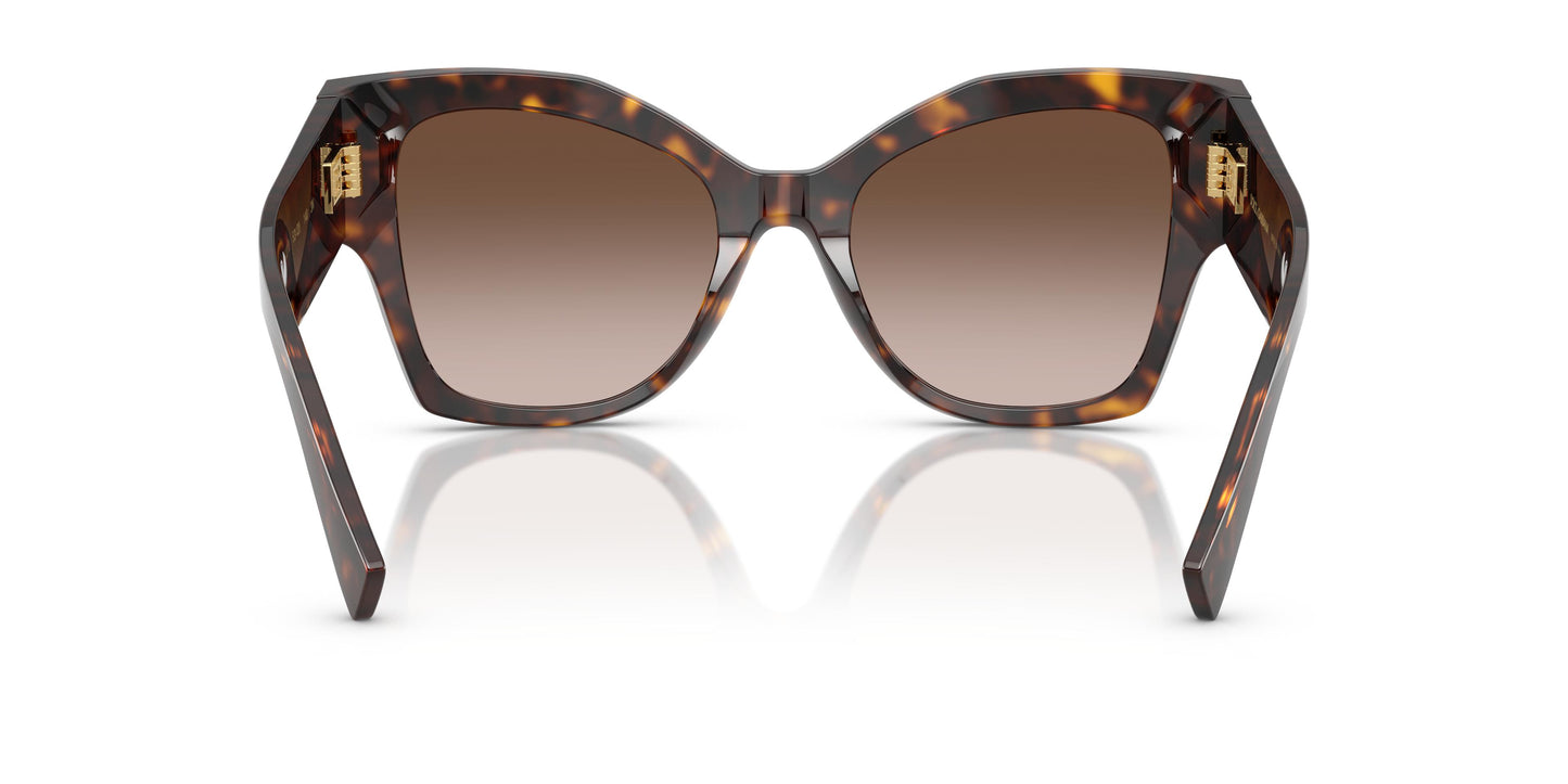 Dolce & Gabbana DG4478 502/13 53