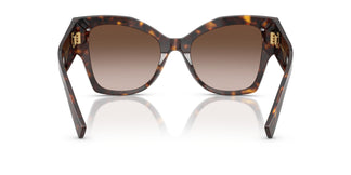 Dolce & Gabbana DG4478 502/13 53