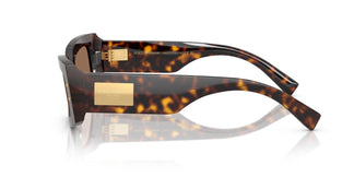 Dolce & Gabbana DG4479 502/73 55