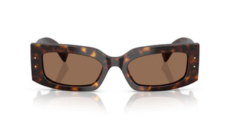 Dolce & Gabbana DG4479 502/73 55