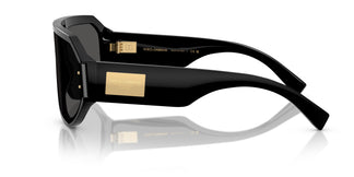 Dolce & Gabbana DG4481 501/87 0