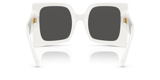 Dolce & Gabbana DG4490 331287 53