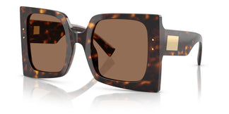 Dolce & Gabbana DG4490 502/73 53