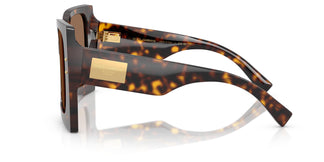 Dolce & Gabbana DG4490 502/73 53