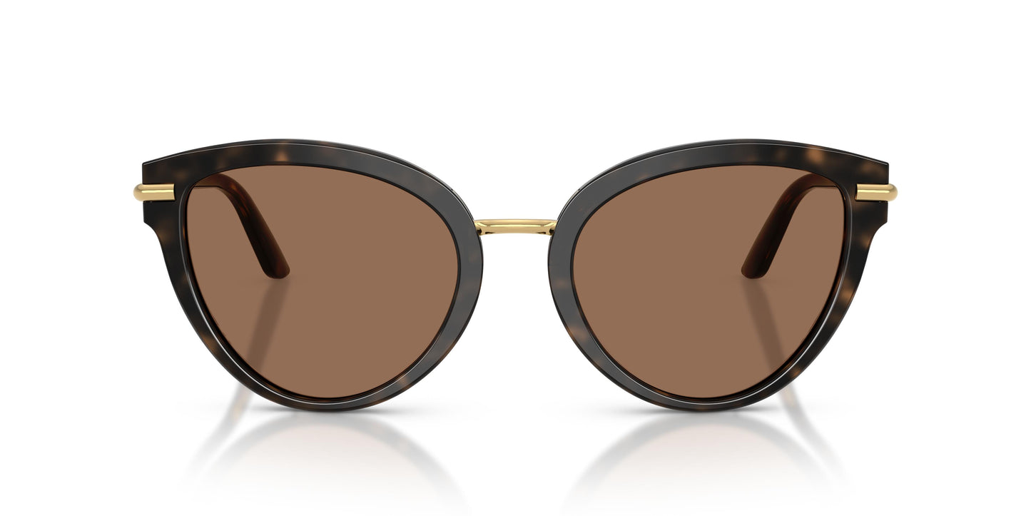 Dolce & Gabbana DG4492 321713 55