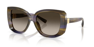 Dolce & Gabbana DG4495 344713 56