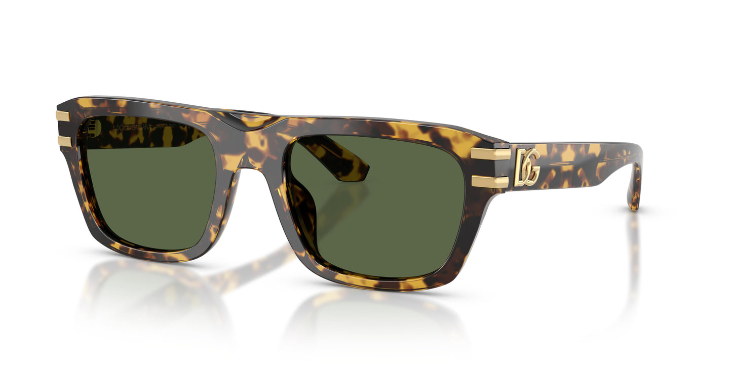 Dolce & Gabbana DG4496 333071 54