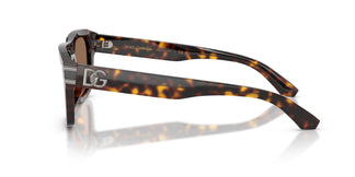 Dolce & Gabbana DG4496 502/73 54