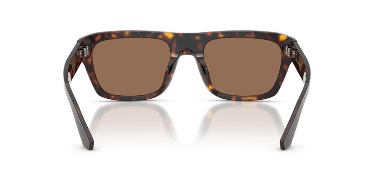 Dolce & Gabbana DG4496 502/73 54