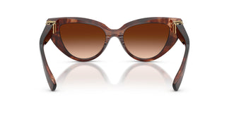 Dolce & Gabbana DG4497 322274 52