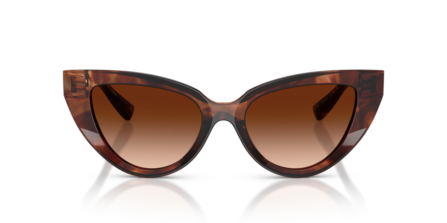 Dolce & Gabbana DG4497 322274 52