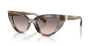 Dolce & Gabbana DG4497 34493B 52