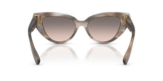 Dolce & Gabbana DG4497 34493B 52