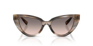 Dolce & Gabbana DG4497 34493B 52