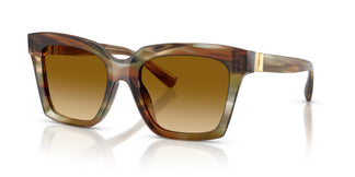 Dolce & Gabbana DG4498 34462L 55