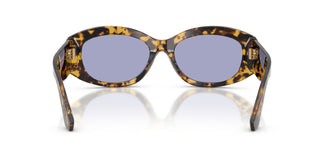 Dolce & Gabbana DG4502 33301A 55
