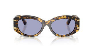 Dolce & Gabbana DG4502 33301A 55