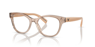 Emporio Armani EA3162 5850 52