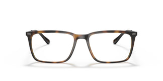 Emporio Armani EA3169 5026 53