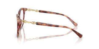 Emporio Armani EA3248 6196 53