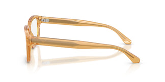 Emporio Armani EA3255 6246 53