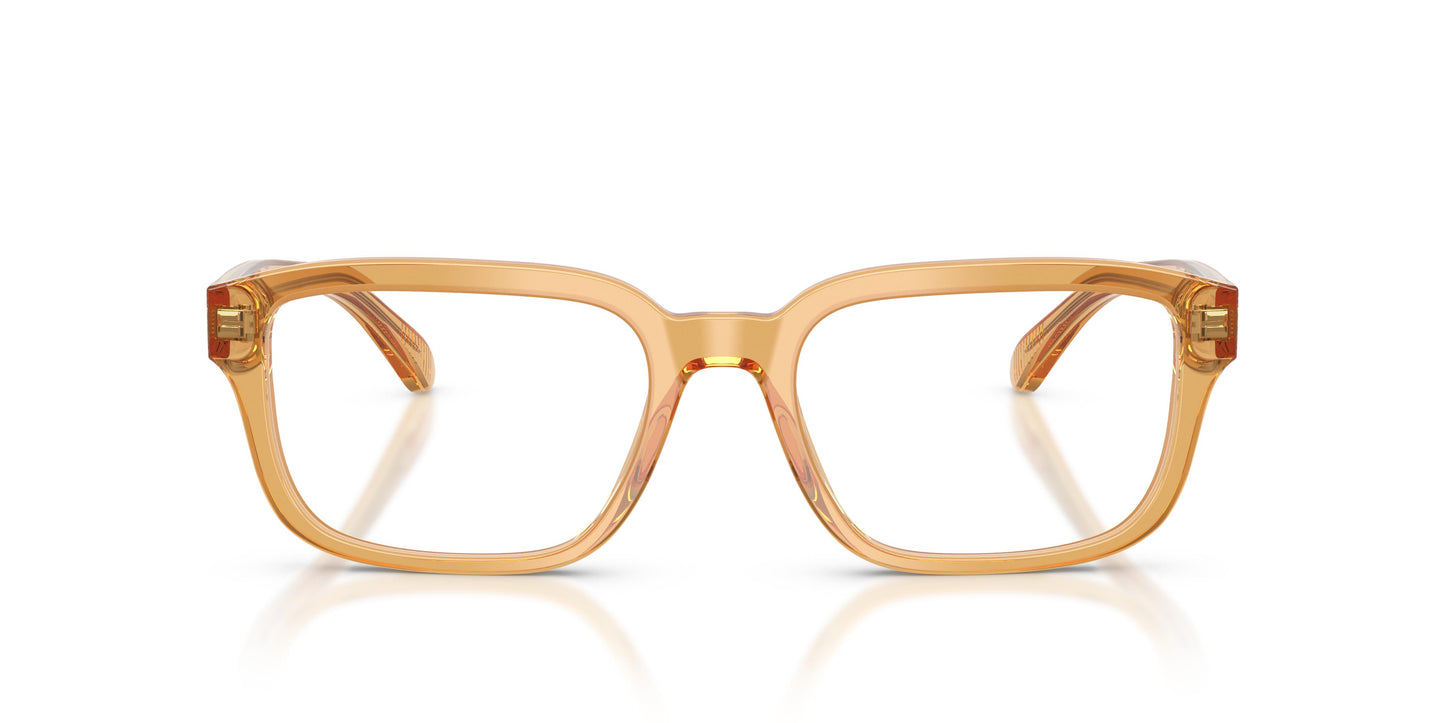 Emporio Armani EA3255 6246 55