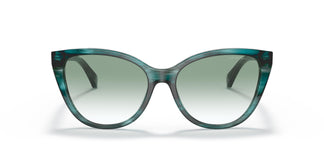 Emporio Armani EA4162 58868E 55
