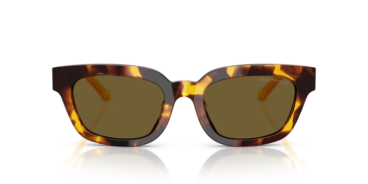 Emporio Armani EA4233U 618173 53