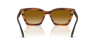 Emporio Armani EA4250U 62682L 54