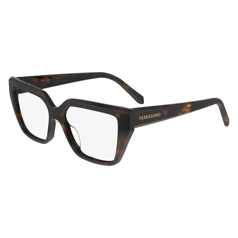 FERRAGAMO SF2971 242 53