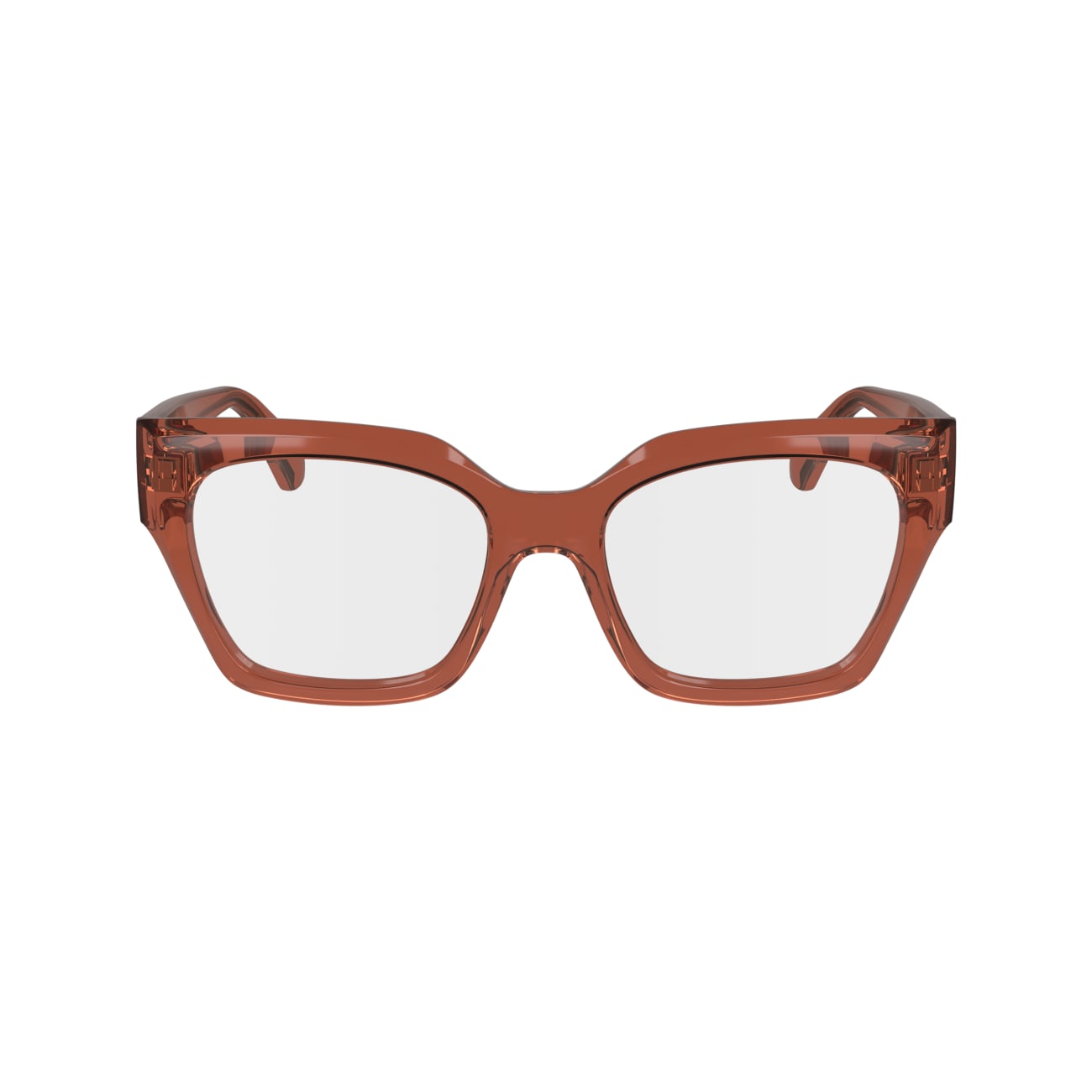 FERRAGAMO SF2983 224 53
