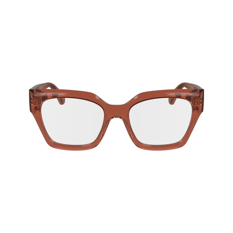 FERRAGAMO SF2983 224 53