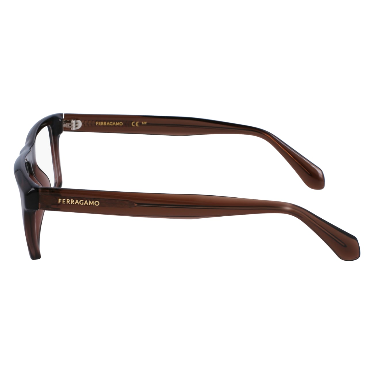 FERRAGAMO SF2988 232 54