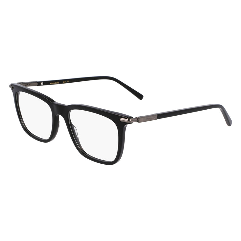 FERRAGAMO SF3007 1 53