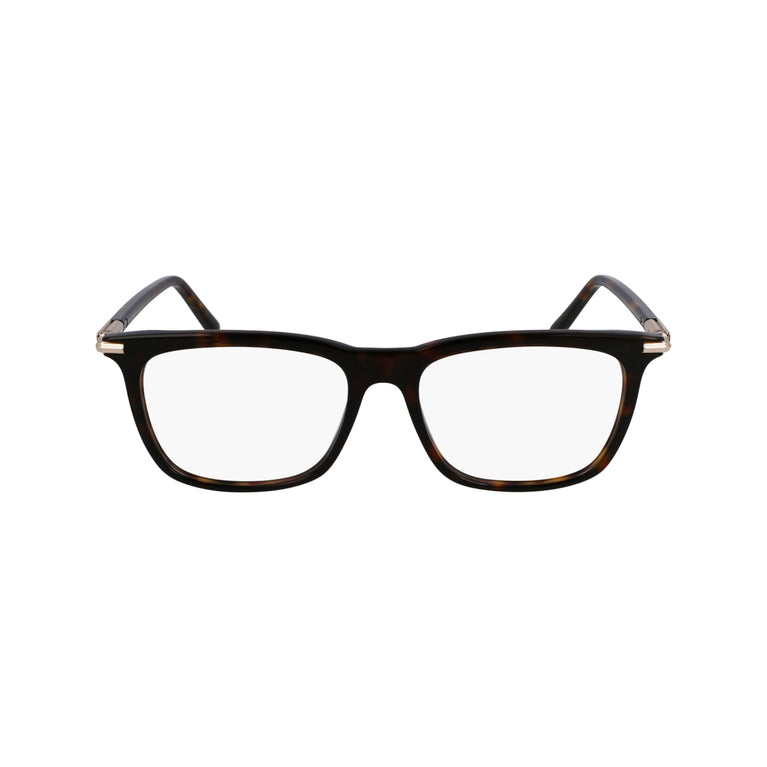 FERRAGAMO SF3007 242 53