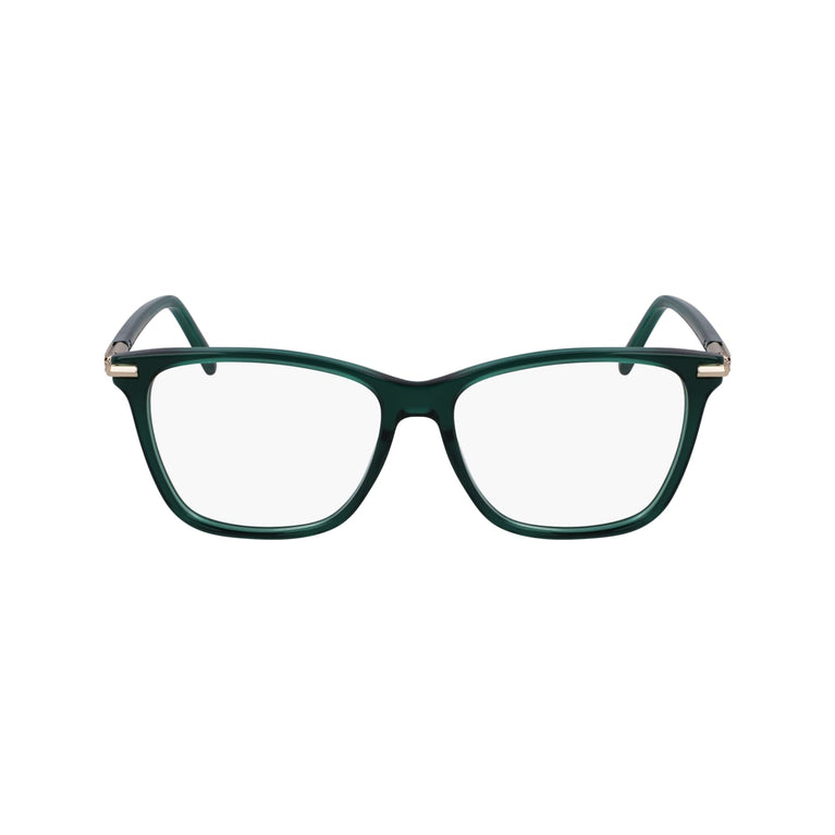 FERRAGAMO SF3013 317 53