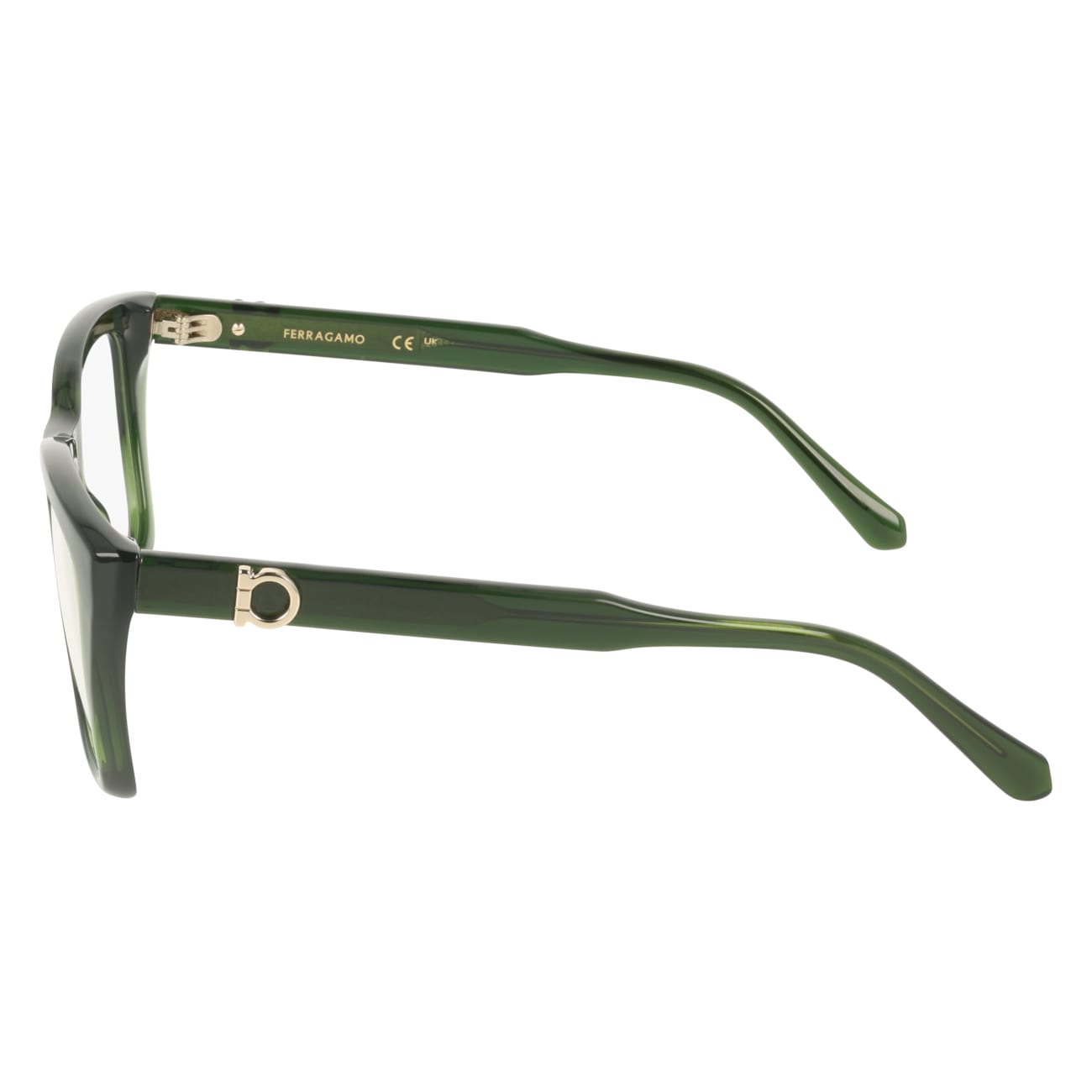 FERRAGAMO SF3030E 317 54