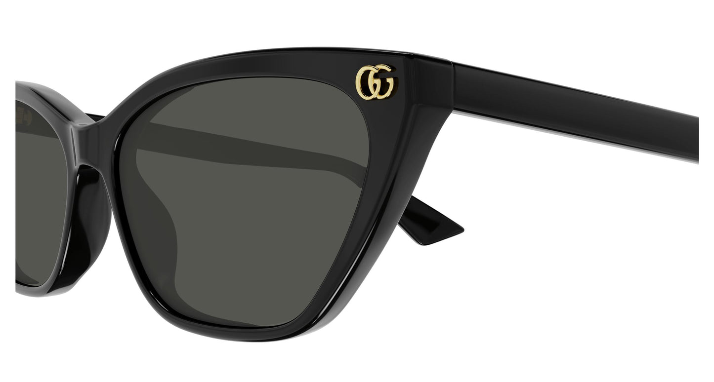 Gucci GG1815S 001 58