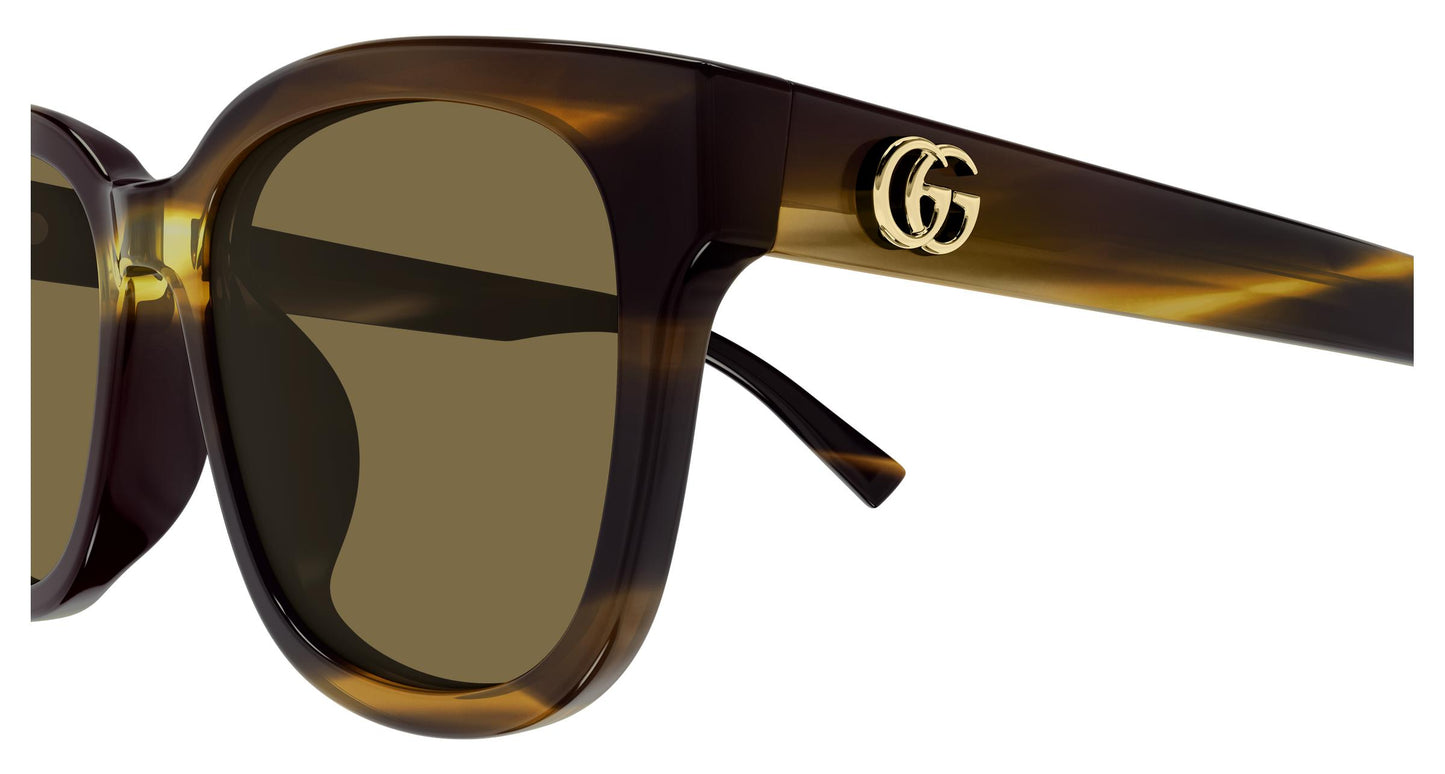 Gucci GG2126SK 003 55