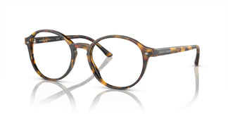 Giorgio Armani AR7004 5011 49