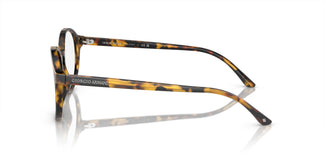 Giorgio Armani AR7004 5011 49