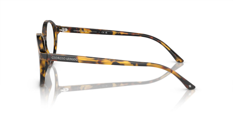 Giorgio Armani AR7004 5011 49