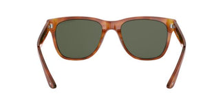 Giorgio Armani AR8133 584871 54